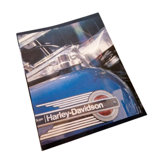 Oldstock Harley Davidson Vintage Schrift 1