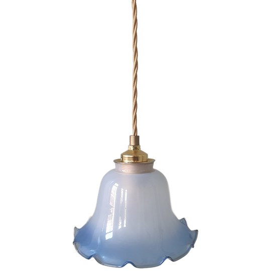 Vintage Glazen Frosted Hanglamp In Florale Vorm. 1
