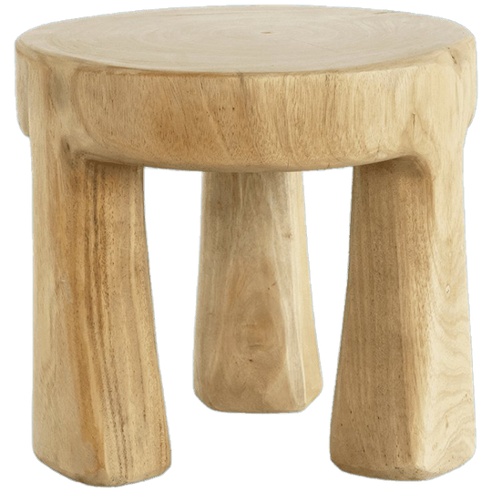 Urban Nature Culture | Kruk Donna S 1