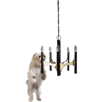 Midcentury Design 5 Arm Gaetano Sciolari Ceiling Lamp Chandelier Chrome