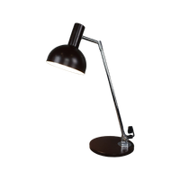 Prachtige Zeldzame Lamp, H. Busquet Voor Hala Zeist
