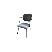 Gispen D07 Fauteuil