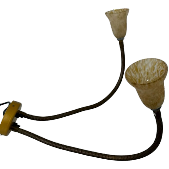 Rob Nollet - Deja Vu Nijmegen - Wall Mounted Lamp - Gooseneck (double) - Glass Shades, Dutch Design 1