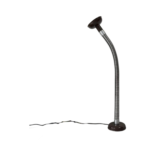 Vintage Gooseneck Vloerlamp Gepo Amsterdam 1