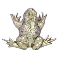 Zilveren Kikker Beeldje