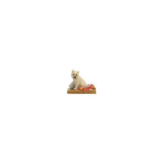 Beeld Hond Op Plankje 1