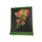 Jonas Wood – "Yellow Flower With Lines 2" (2021) thumbnail 1
