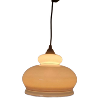 Vintage Jaren 70 Hanglamp Glas