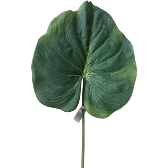 Zijden Bladeren Silk-ka Alocasia 1