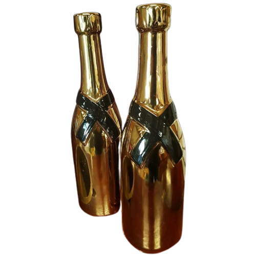 Nieuwe Champagne Bottle Vase, Vaas....Chique De Friemel🥂