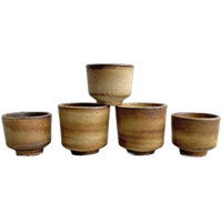 Set Van 5 Vintage Bruin - Beige Keramiek Bloempotten