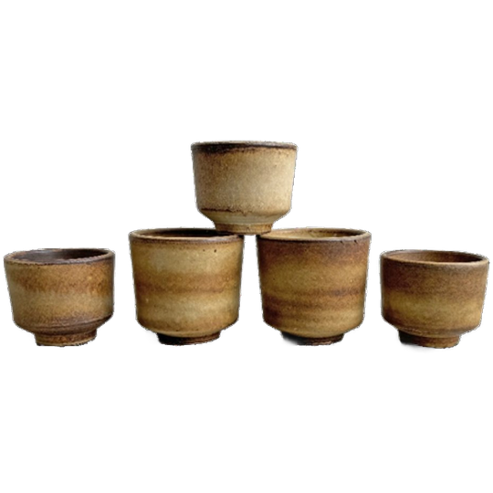 Set Van 5 Vintage Bruin - Beige Keramiek Bloempotten 1