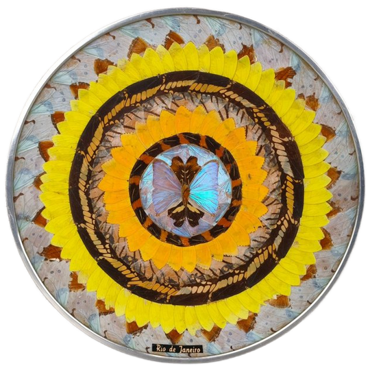 Braziliaanse Decoratie Met Vlinders 1