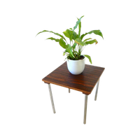 Retro Vintage Bijzettafel Tafel Jaren 60 Plantentafel