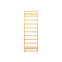 Vintage Gym Wall Bars / Wandrek