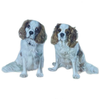 Schilderij Van 2 Cavalier King Charles Spaniels thumbnail 1