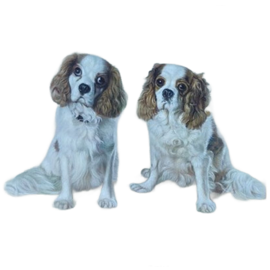 Schilderij Van 2 Cavalier King Charles Spaniels 1