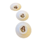14x Gebaksschotels Schotels Van Franse Klassieke Aristocraten Antiek thumbnail 1
