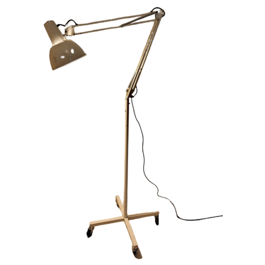 Anglepoise Lighting Floorlamp 1