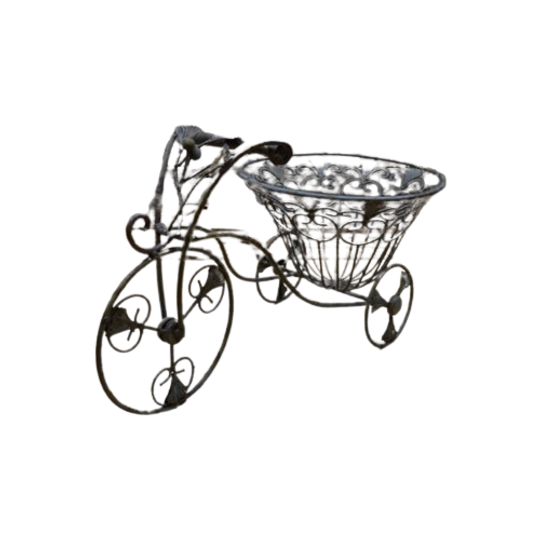 Driewielerfiets Met Mand 1