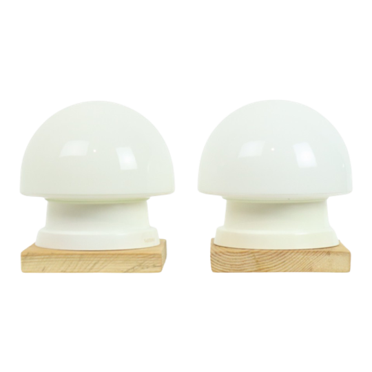 Koppel Mushroom Lampjes Nachtlamp Opaline Vintage 1