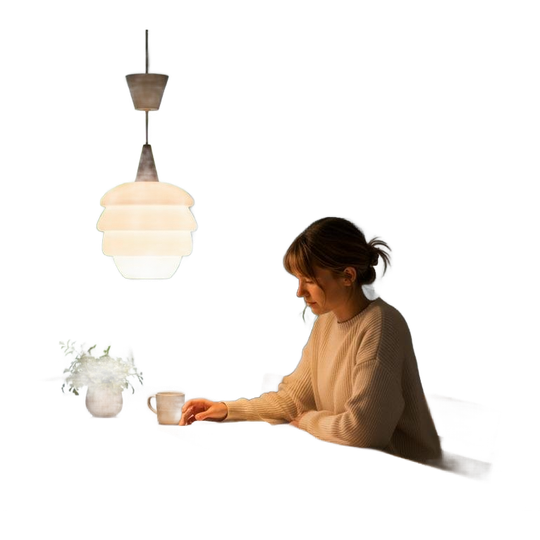 Vintage Louis Kalff Hanglamp Met Hout Accent 1