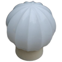 Plafonniere Bol Wit Glas