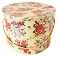 Oude Vintage Karton Hoedendoos Hoededoos Fifties Jaren 50