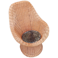 Rotan Kuipstoel Fauteuil Met Kussentje