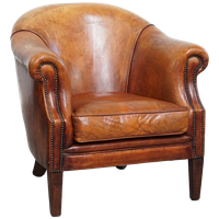 Begeerlijke Schapenleren Clubfauteuil Met Prachtige Kleuren En Een Comfortabele Zit