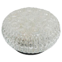 Vintage Plafondlamp / Muurlamp Glas