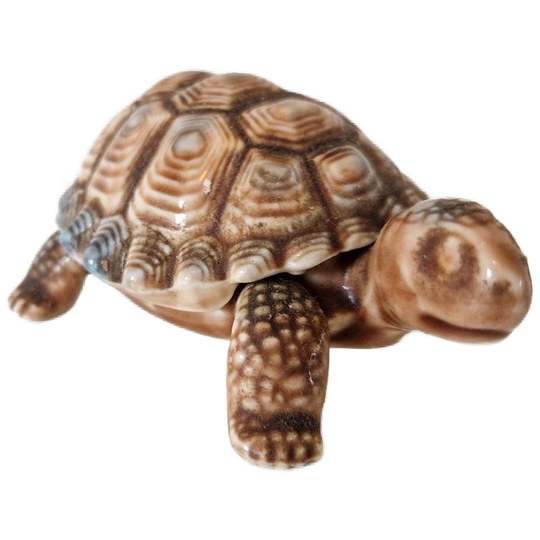 Wade Porcelein Schildpad Turtle Ringen Doos Beeldje Doosje 1