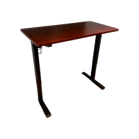 Zit Sta Bureau Elektrisch - Electric Standin Desk