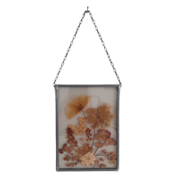 Geperst Glas In Lood. Botanisch Kunstwerkje. Gedroogde Bloemen.