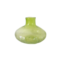 * Retro Groene Glazen Vaas Persglas Annagroen