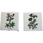 Twee Onderzetters Met Planten Afbeelding thumbnail 1