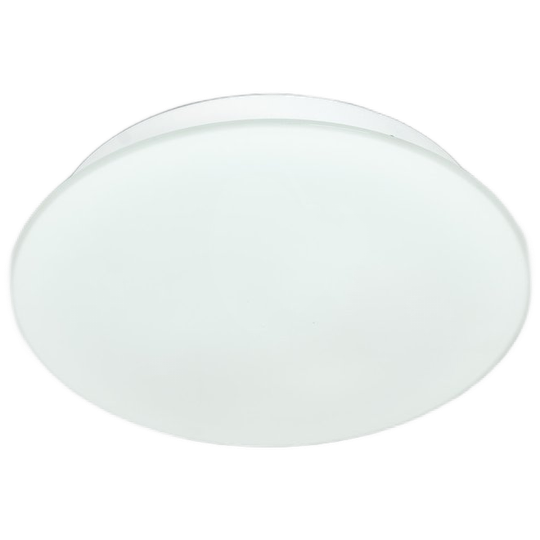 Mat Glazen Plafondlamp 1
