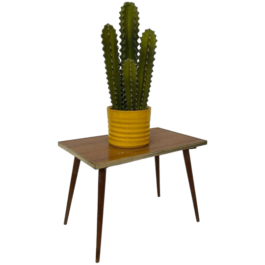 Vintage Plantentafeltje Bijzettafel Jaren 60 Design 1