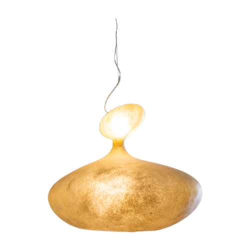 E.T.A. Sat Guglielmo Berchicci Organic Design Hanging Lamp