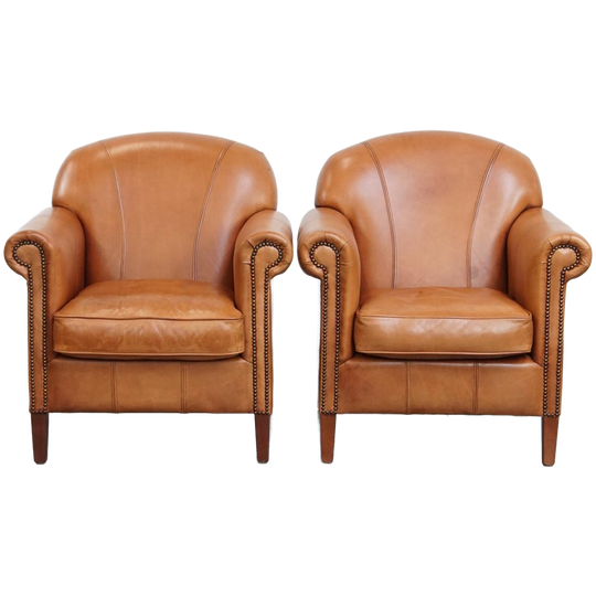 Mooie Set Van 2 Cognac-kleurige Rundleren Fauteuils Met Een Fijn Zitcomfort 1