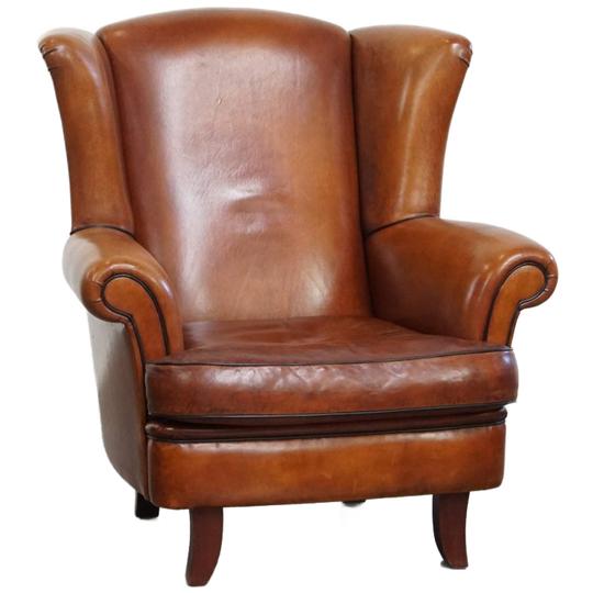 Sierlijke En Ruime Schapenleren Oorfauteuil Met Warme Kleuren 1
