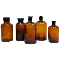 Grote Bruine Apotheker Flessen Set Van 5