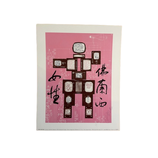 Nam June Paik After (1932-2006), Evolution, 1
