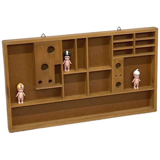 Oude Letterbak Natuurkunde Vakkenbak School Vintage 1