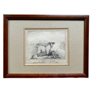 Cuvier. Antieke Originele Gravure Uit 1835. La Chevre D'Angora.