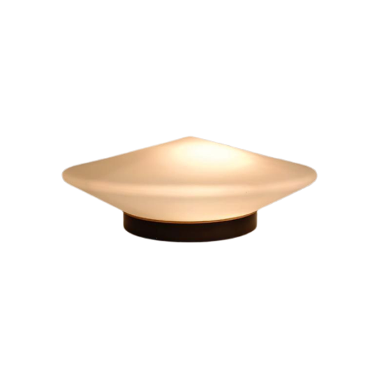 Vintage Plafondlamp Raak Discus 1