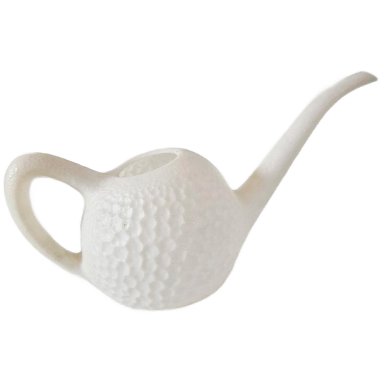 Vintage Emsa Gieter 0.5 Liter Bol Gietertje Fifties 1