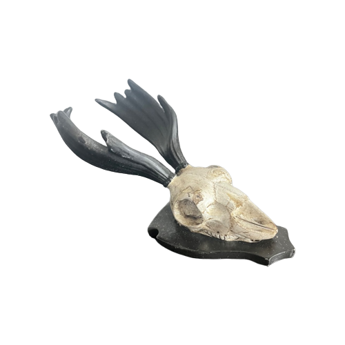 Mini Deer Skull