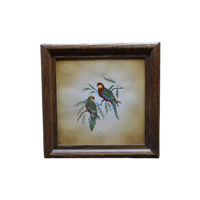 Tegelschilderij Met Papegaaien