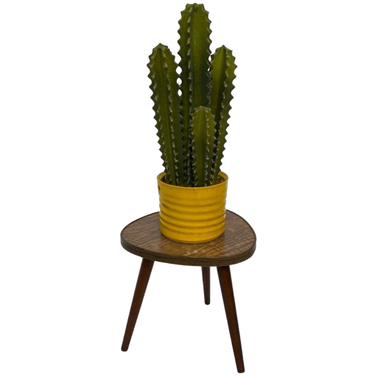 Vintage Plantentafeltje Bijzettafel Driepoot Jaren 60 Design 1